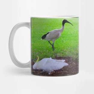 The ibis & the Cockatoo! Mug